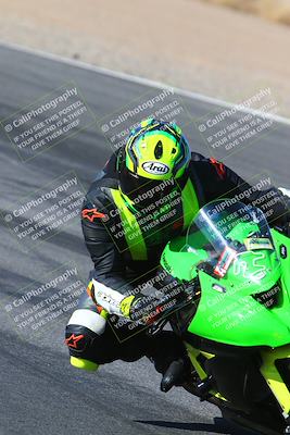 media/Jan-14-2024-SoCal Trackdays (Sun) [[2e55ec21a6]]/Turn 12 Inside (945am)/